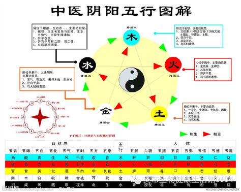 相剋相生|五行相生相剋:五行,四季五行,相生相剋,概念對應,五行數理,五行方。